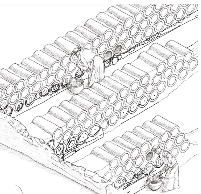 Ancient apiary Tel Rehov drawing: Amihai Mazar of Hebrew University.