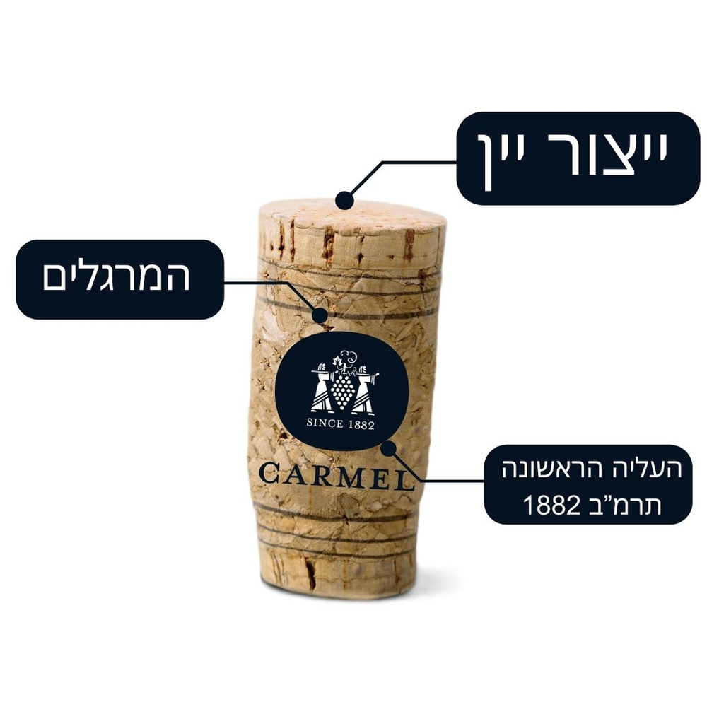 ניתוח של פקק יין