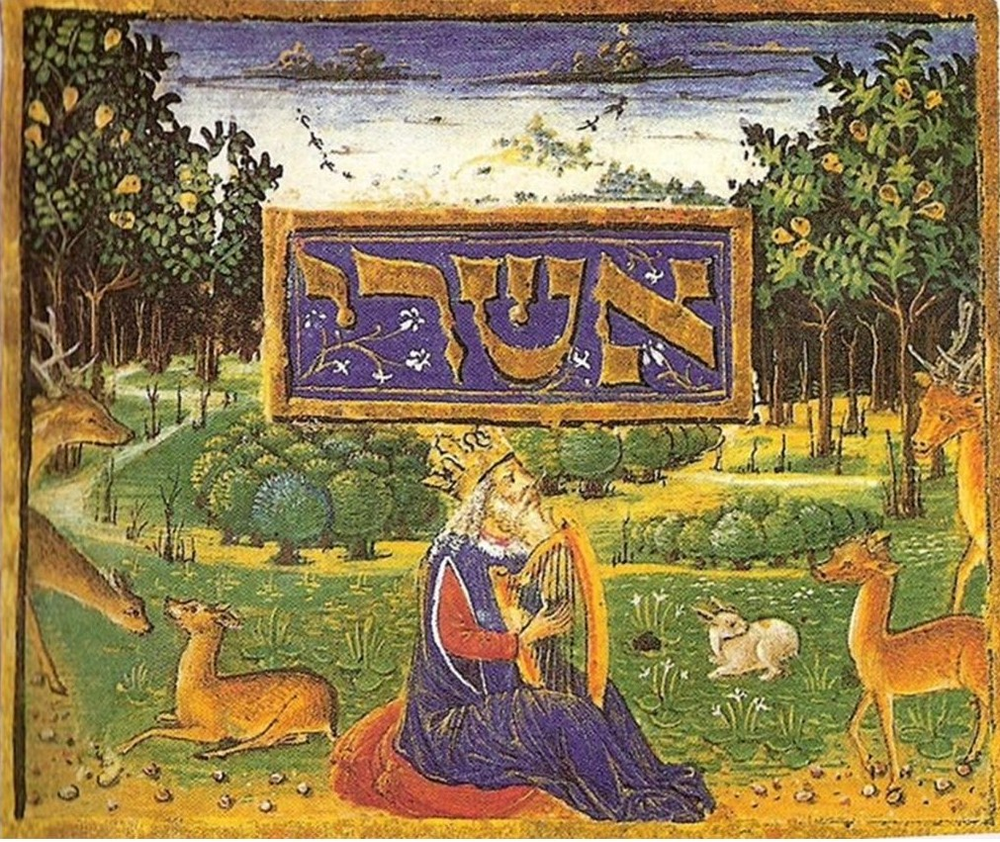 מכלול רוטשילד (MS.180/51; M803-9-61, fol. 1b) דוד המלך מנגן בכינור, צייר לא ידוע 1495 דוד המלך מנגן בכינור