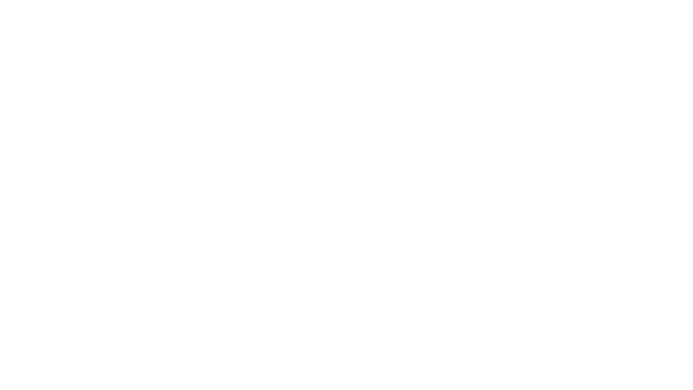 The Museum Guy