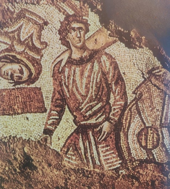שמשון עיוור — מופסואסטיה (מיזיס) שמשון עיוור — מופסואסטיה (מיזיס)