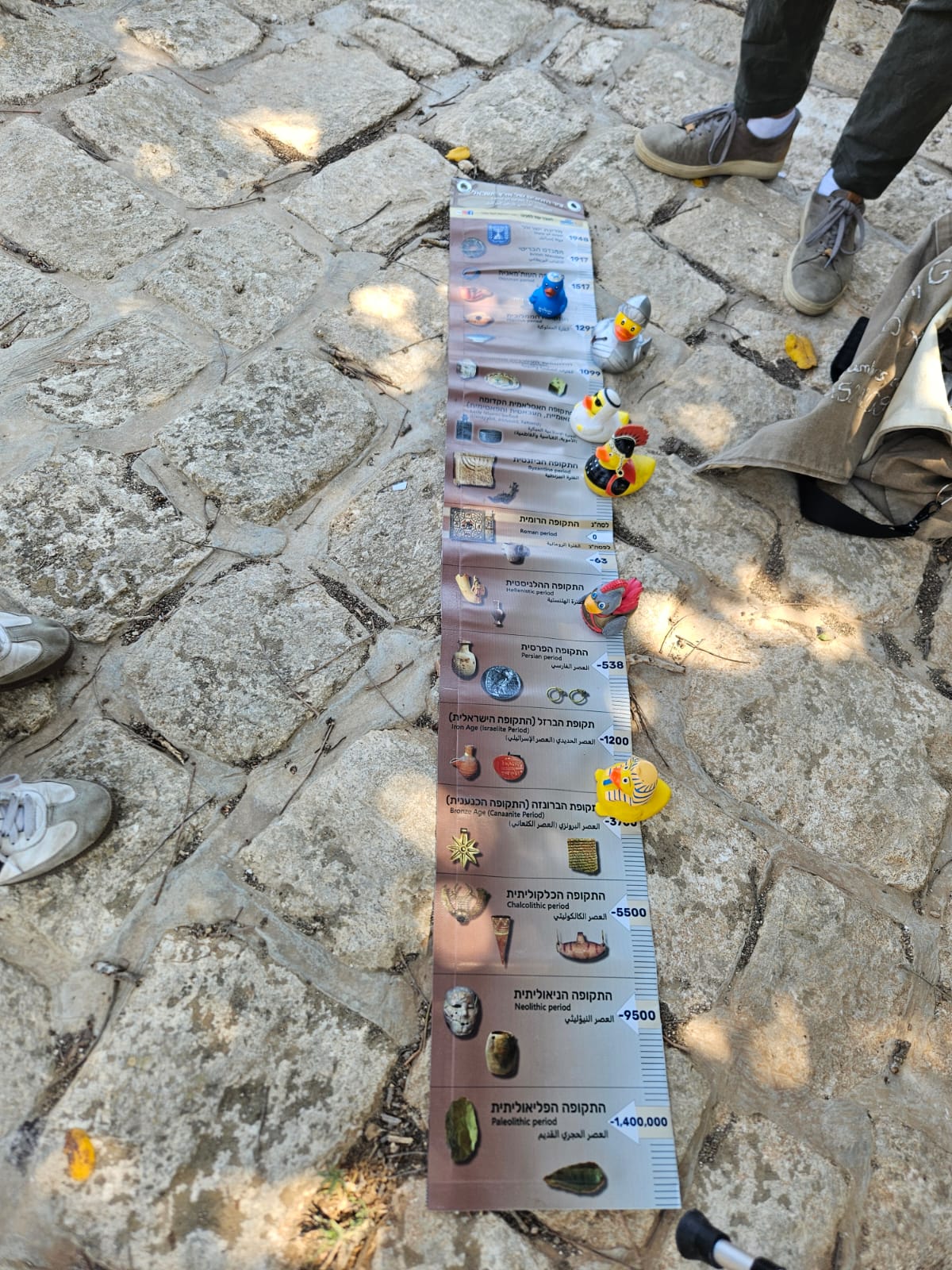 ציר הזמן בשטח